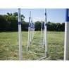 Parcours complet Agility Run