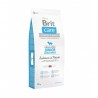 BRIT CARE Croquettes pour chien "Junior large breed" - Saumon et Pomme de terre