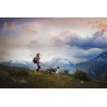Non Stop Ceinture Trekking pour randonnee et canicross