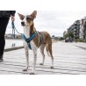 Dog Copenhagen Harnais confort Walk Air