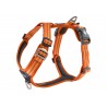 Dog Copenhagen Harnais confort Walk Air