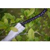 Jouet Rabbit avec fourrure XL et elastique