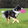 Frisbee clignotant en silicone