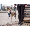Dog Copenhagen Harnais confort Walk Pro