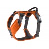 Dog Copenhagen Harnais confort Walk Pro