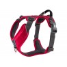 Dog Copenhagen Harnais confort Walk Pro