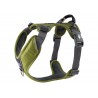 Dog Copenhagen Harnais confort Walk Pro