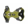 Dog Copenhagen Harnais confort Walk Pro