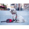 Dog Copenhagen Laisse Urban Trail