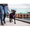 Dog Copenhagen Laisse Urban Trail