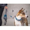 Dog Copenhagen Laisse Urban Trail