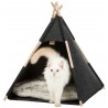 Abri tipi