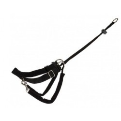 Harnais de Dressage Lead'n'Walk Basic 