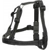 Harnais de dressage Lead and Walk Basic