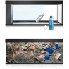 Poster aquarium