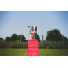 Agility Run Passerelle