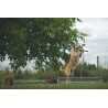 Agility Run Palissade + Bouge-Toit