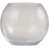 Aquarium boule