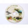 DVD : Ready - Stop - Go !