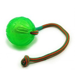 Balle Everlasting avec Elastique pour chien