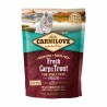 Croquettes Carnilove pour Chat saveur Carpe Truite 400g