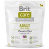 Croquettes Brit Care Adult Small Breed Agneau & Riz 1 kg