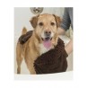 Serviette microfibre hygiène pour chien Dirty Dog Shammy