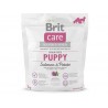 Brit Care - Croquettes Saumon & Pommes de Terre - Sans céréales - Chiots et junior - 1 kg