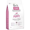 Brit Care - Croquettes Saumon & Pommes de Terre - Sans céréales - Chiots et junior - 3 kg