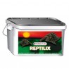 Aliment de base pour tortues terrestres
