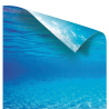 Poster 2 XL 150x60cm recto-verso pour Aquarium JUWEL