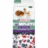 Versele Laga Complete Crock Berry - Nourriture pour rongeurs aux baies