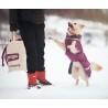 Pomppa Toppa manteau impermeable double pour chien