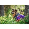 Pomppa Toppa manteau impermeable double pour chien