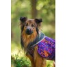 Pomppa Toppa manteau impermeable double pour chien