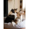 Coussin Reve