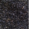 Versele Laga - Graines Niger - Sac de 1kg