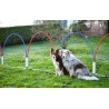 Agility Run Slalom Hoopers