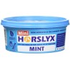 Mini Horslyx Menthe