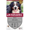Advantix pipettes anti-puces et anti-tiques