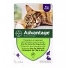 Advantage - Pipettes antiparasitaires pour chat