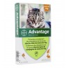 Advantage - Pipettes antiparasitaires pour chat