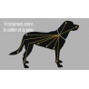 Scalibor Collier anti tiques grand chien
