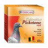 VERSELE LAGA Colombine Pickstone red 600g