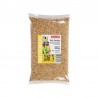 Zolux Graines Riz Paddy 800g