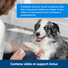 PetSafe Teach & Treat systeme educatif positif