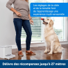 PetSafe Teach & Treat systeme educatif positif