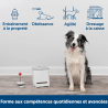 PetSafe Teach & Treat systeme educatif positif