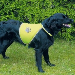Gilet de Sécurité Jaune pour chiens