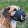 Muselière Réglable pour chiens